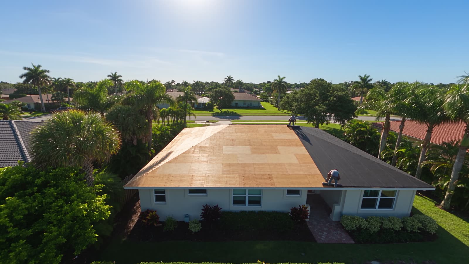 Bare plywood roof deck being inspected and dried in