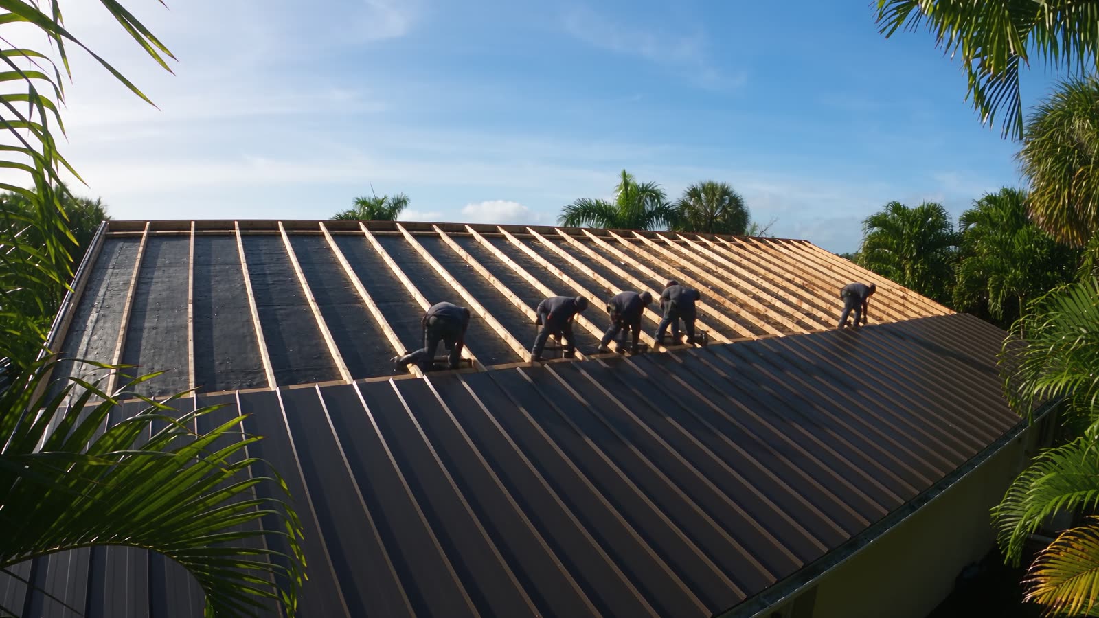 Standing seam metal panels being installed in rows